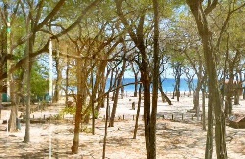 San Juan del Sur House | The Ceiba House, Playa Maderas