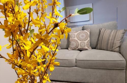 Silver Lake Apartment | The City-Side at Silver Lake *NEW 1-BED RM APT