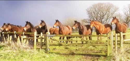 Sudbourne House | The Coach House Barn - Valley Farm