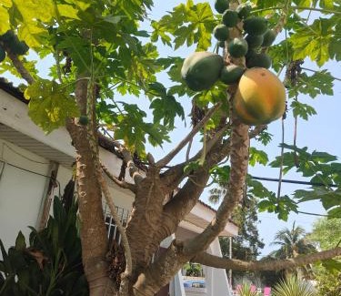 Sekondi-Takoradi House | The Cool Villa Guest House