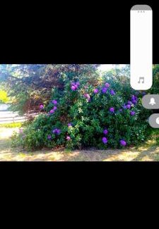 Doochary House | The cottage doohary