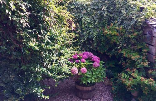 Belford Apartment | The Cottage