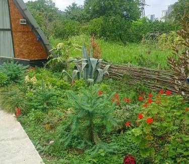 Batumi Ski Chalet | The Cottage in Mandarins