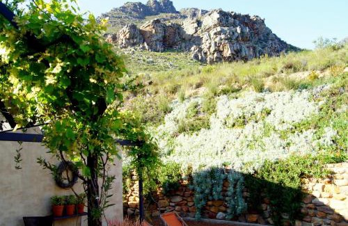 Cape Winelands Villa | The Cottage @ Montpellier