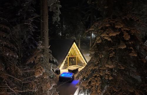Canton 10 Ski Chalet | The Cozy Chalet