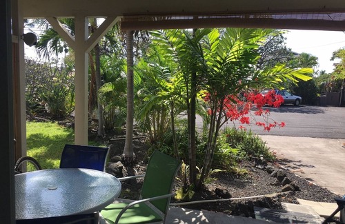 Kahaluu Bay House | the cozy large studio 30+days stays