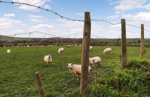 Garn Fadryn House | The Crog Loft - Uk45652