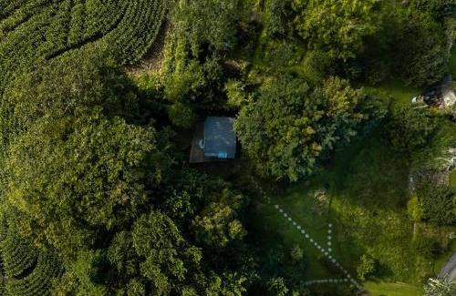 Begelly Ski Chalet | The Cwtch - Woodland cabin with country views!