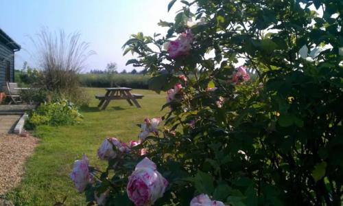Cratfield House | The Dairy, Holly Tree Barns