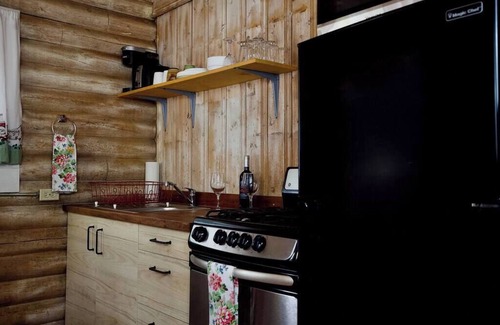 Lake City Cabin | The Daisy Cabin with Mountain Views