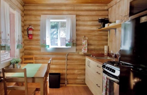 Lake City Cabin | The Daisy Cabin with Mountain Views