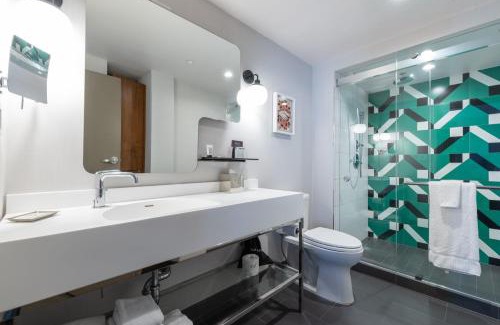 Downtown Washington D.C. Hotel | The Darcy Hotel, Washington DC
