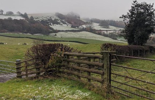 Newtown Bed & Breakfast | The Dolfor Inn