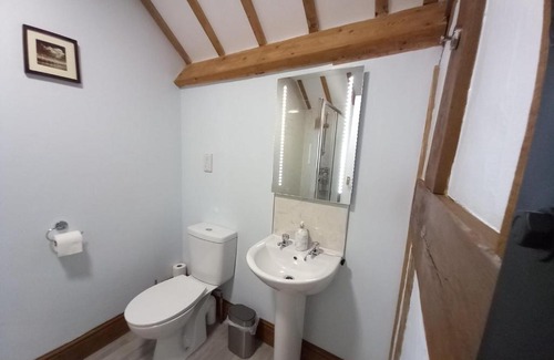 Newtown Bed & Breakfast | The Dolfor Inn