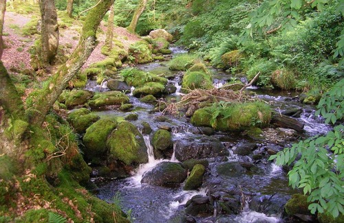 Tywyn Bed & Breakfast | The Dolgoch