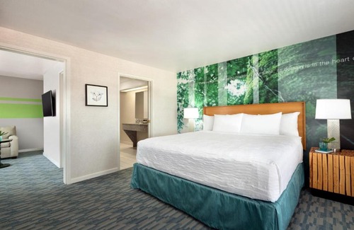 Ponderosa Park Hotel | The Domain Hotel