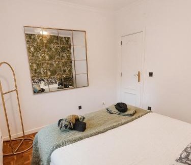 Moncloa-Aravaca Apartment | The Dorado Apartment