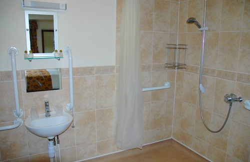 Bridgnorth Hotel | The Down Inn
