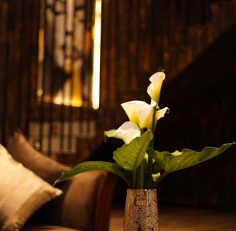 Nuwara Eliya Villa | The Edgware Cabana