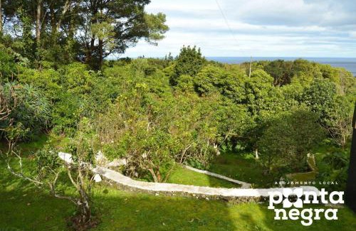 Biscoitos House | The Emigrant House by PontaNegraAzores