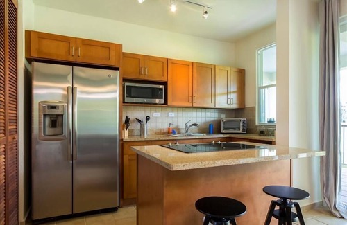 Candelero Abajo Villa | The Entertainer | Rooftop Terrace | Gas Grill | Pool
