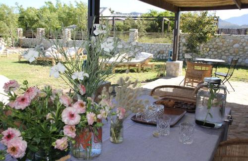 Cape Winelands House | The Farmstead