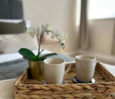 Pontcanna Apartment | The Fields apartment
