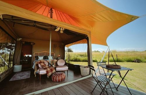Haigslea Other | The Forager Glamping at Twigley Farm