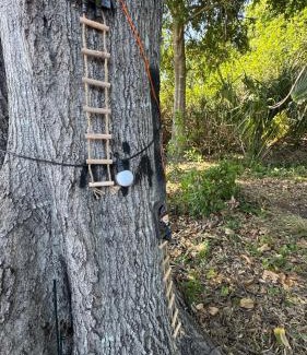 Port Saint Lucie Other | The Forest Nook