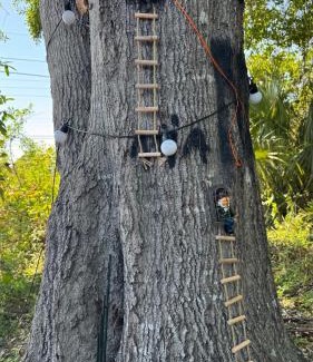 Port Saint Lucie Other | The Forest Nook