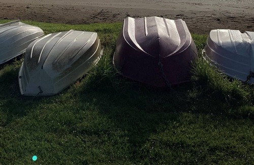 Paihia Cottage | The Foulis Cottage..