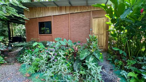 Penas Blancas Apartment | The frog house