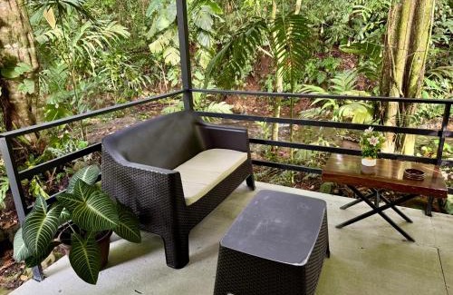 Penas Blancas Apartment | The frog house