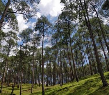 Majkhali Hotel | The Frostwood Resort