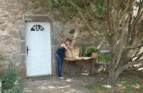 Agde Cottage | The Gite de la Prunette (air conditioning, heated swimming pool) in a horse farm
