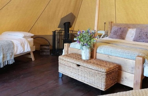 Camborne Cabin | The Glade. Luxury Bell Tent with partial sea and countryside views. Dog friendly