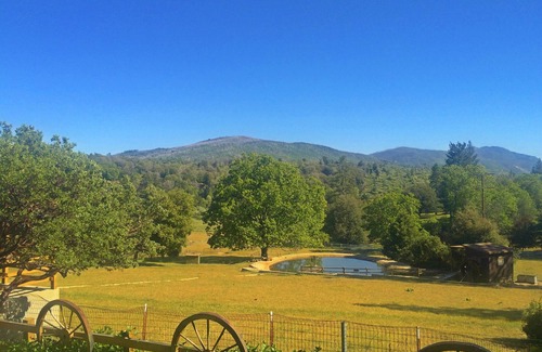 Julian Cottage | The Gnome Home at Shadow Mountain Ranch!