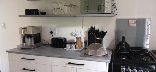 Paarl Apartment | The GOAT shed
