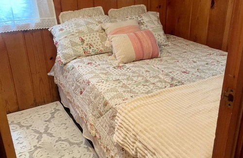 Carp Lake Cabin | The “Good Life” Cabin - Close to Mackinac Island!