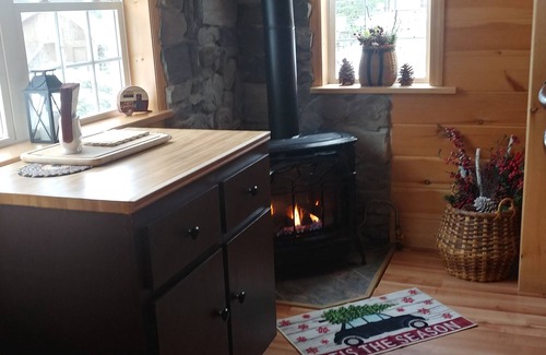 Wells Cabin | "The Good Life Cabin" offers beautiful views of the lake and mountains