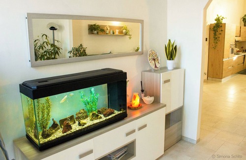 Serrano Apartment | The Green House - Suite with Garden view