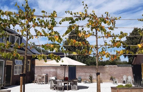 Udenhout Bed & Breakfast | The Guest Room - B&B at 300 meters from the nature reserve Loonse and Drunense Dunes