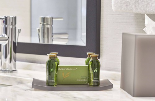 Alpharetta Hotel | The Hamilton Alpharetta, Curio Collection by Hilton