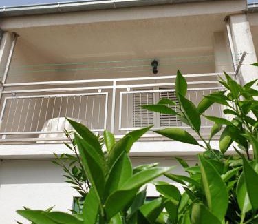 Primosten Apartment | The Heart Of Dalmatia