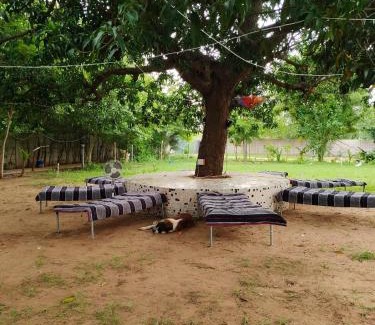 Kalol House | The Heaven - Farms & Resorts