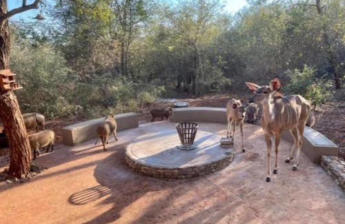 Marloth Park House | The Hedgehog at Marloth Park
