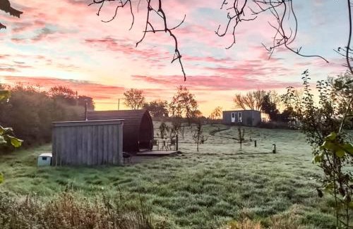 Llanfair Caereinion House | The Hedgehog Pod - Uk50067