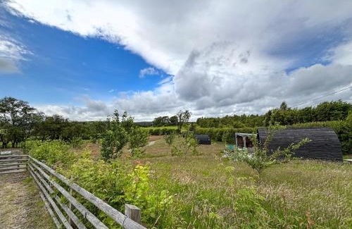Llanfair Caereinion House | The Hedgehog Pod - Uk50067