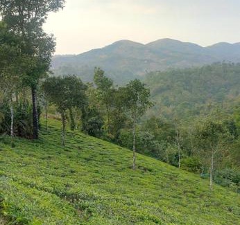 Elappara Villa | The Hidden Peaks - Mud house cottage