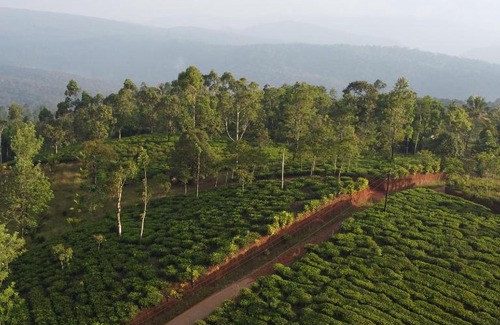 Elappara Villa | The Hidden Peaks - Mud house cottage
